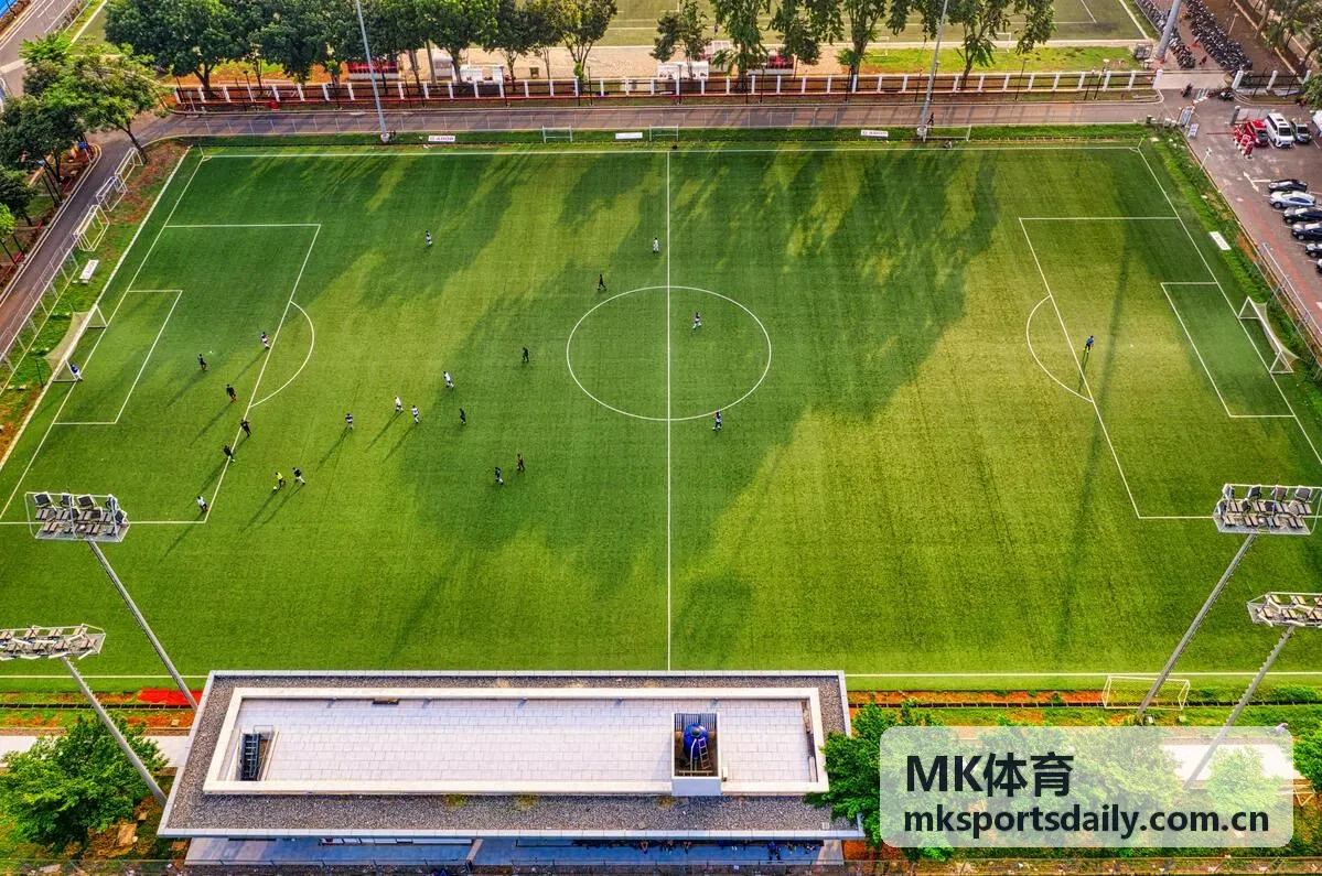 MK体育赛事趋势专题与数据观察封面